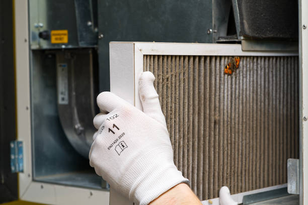 Best Affordable Air Duct Cleaning  in Taylor, PA