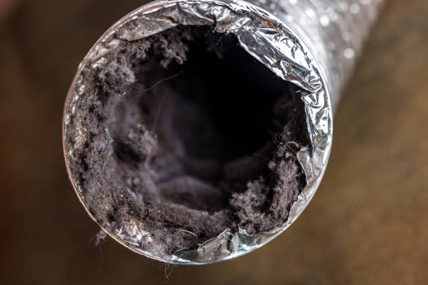 Best HVAC System Cleaning  in Taylor, PA